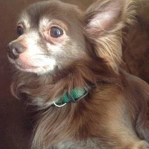 Meet your Posher, Val